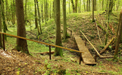 16_Lylavos pazintinis takas (1).jpg